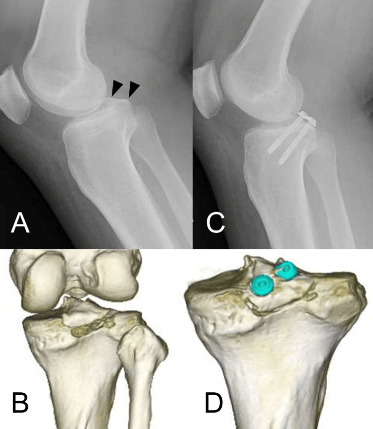 Figure 7