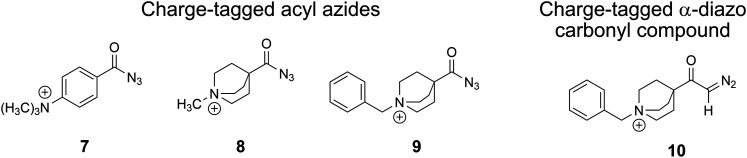Scheme 3