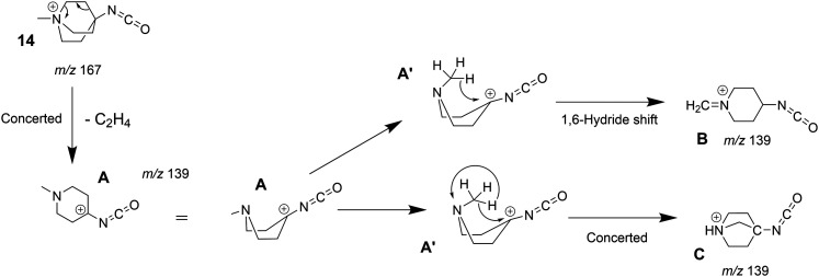 Scheme 5