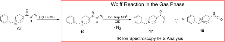 Scheme 6