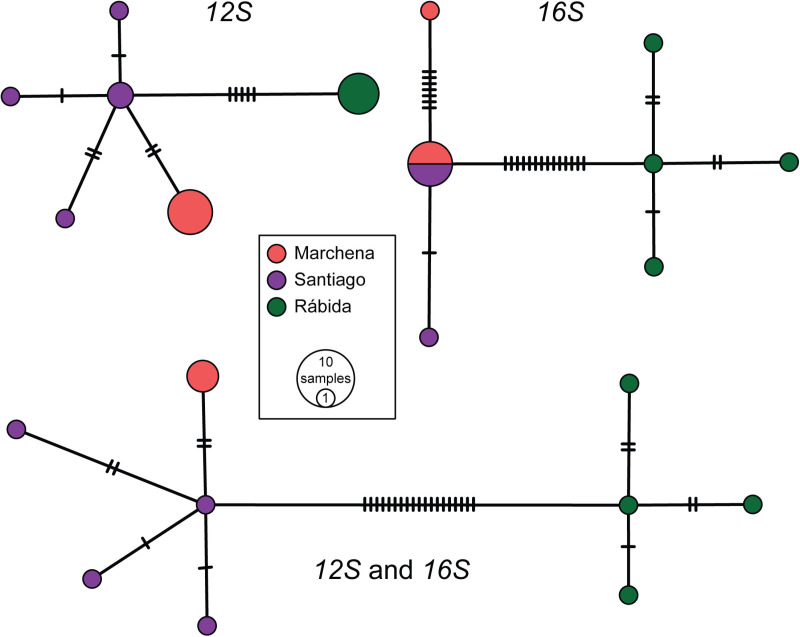 Fig 2