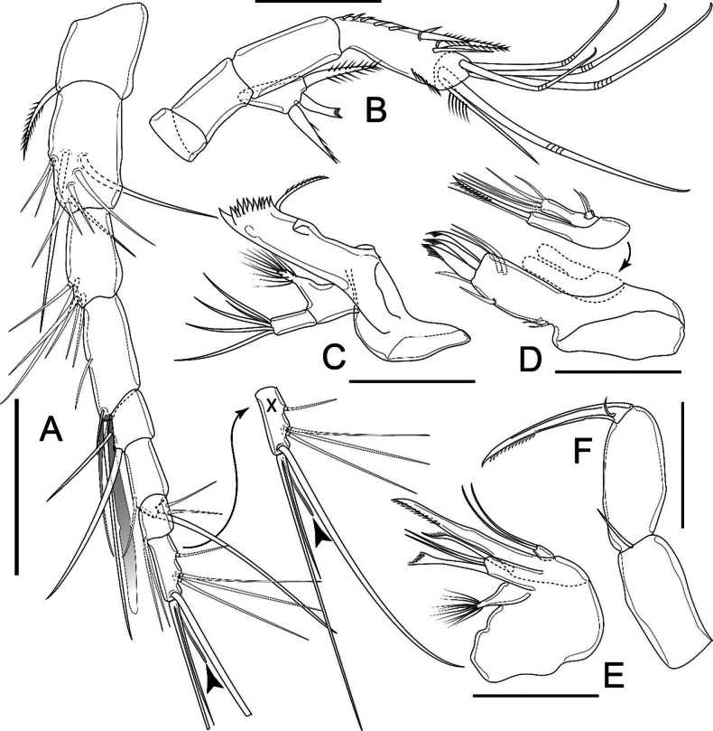 Figure 8