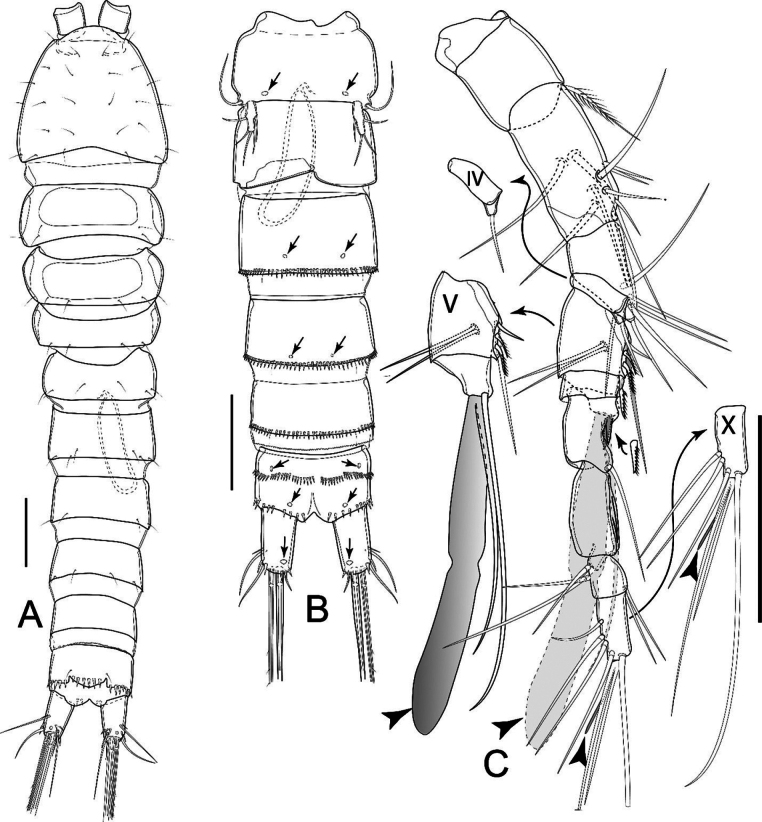 Figure 10