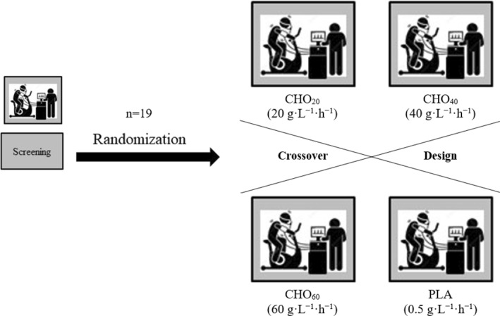 FIGURE 1