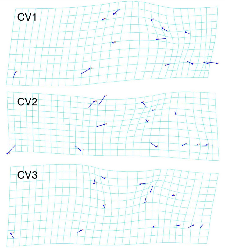 Figure 7
