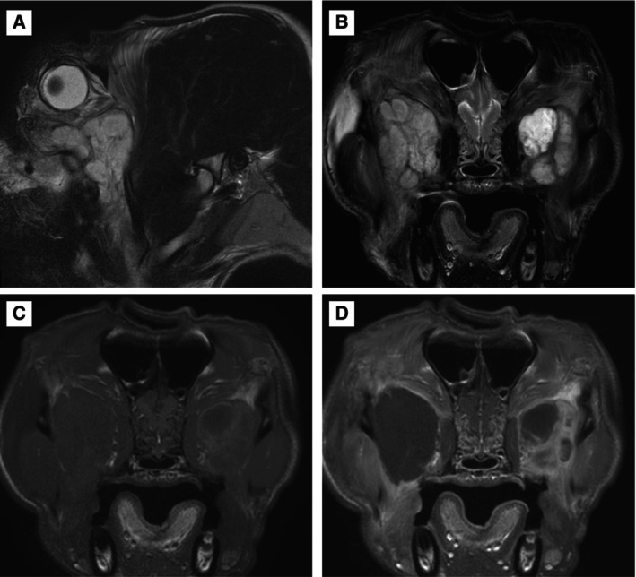 FIG 6