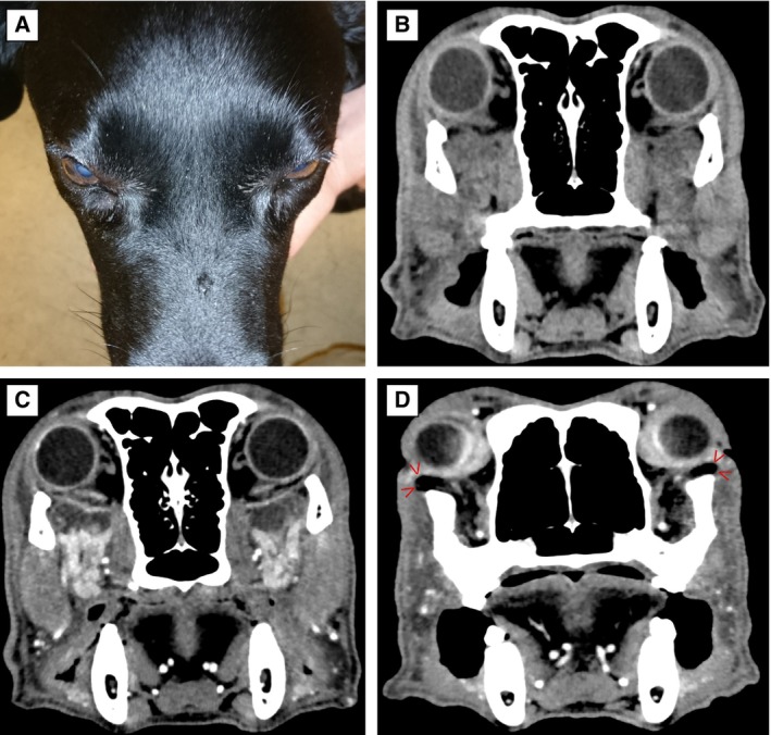 FIG 4