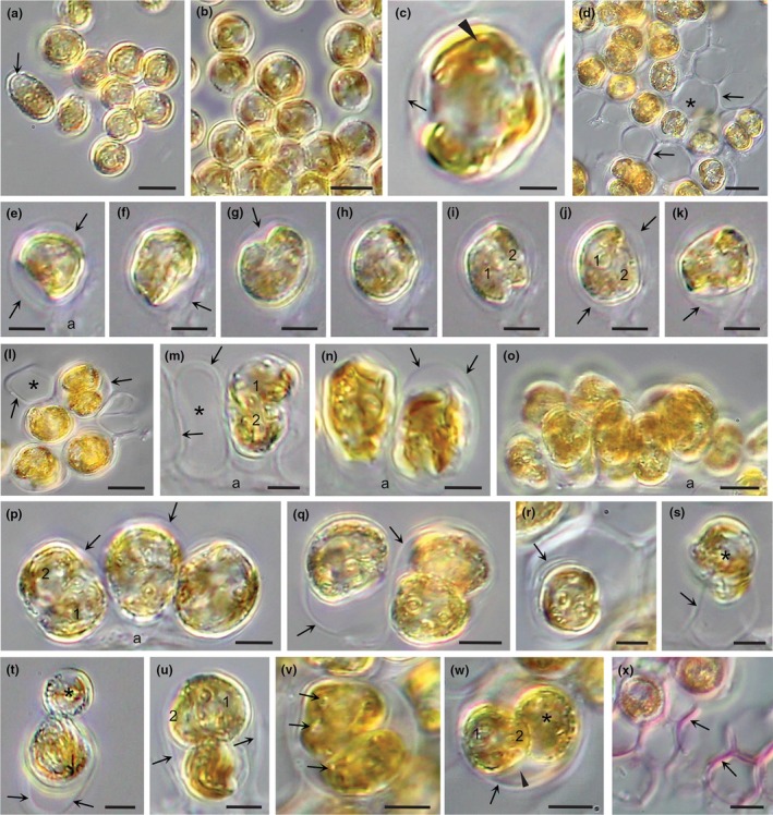 Figure 9