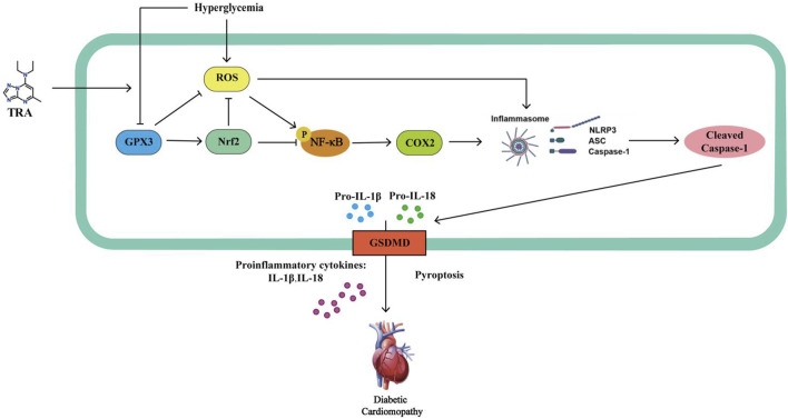 Figure 10