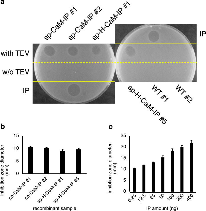 Figure 6