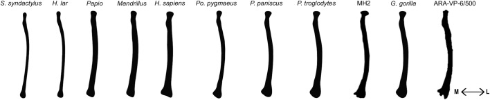 Fig. 5