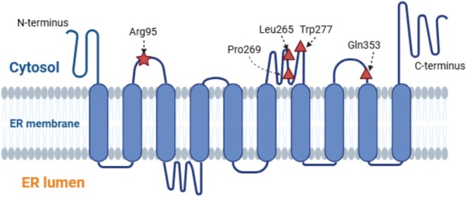 FIGURE 2