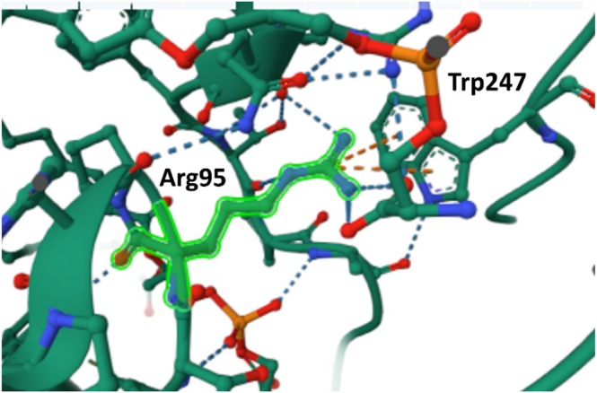 FIGURE 4