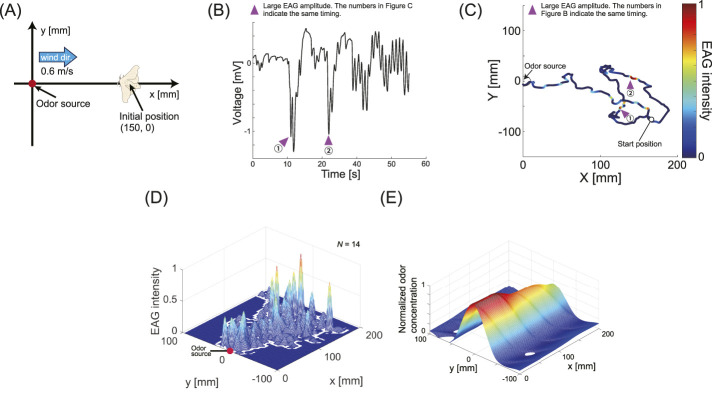 FIGURE 3