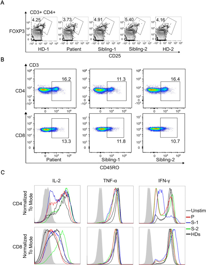 Figure 2