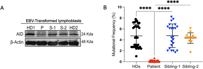 Figure 4