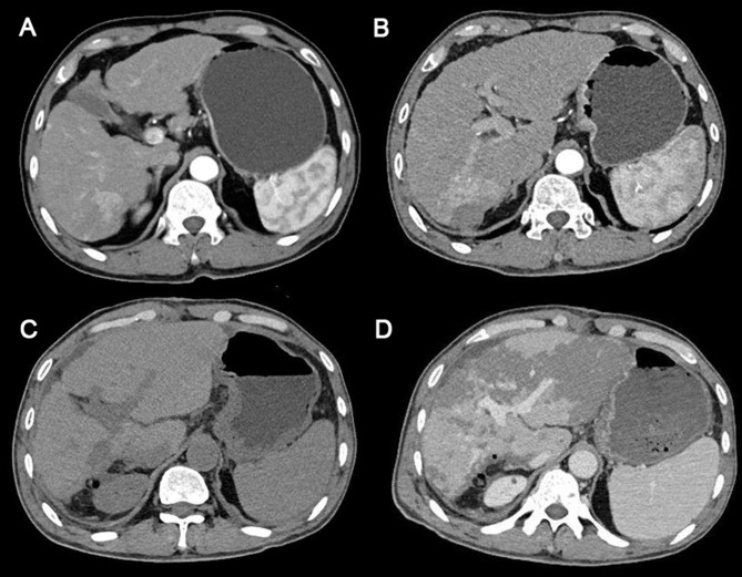 Figure 1