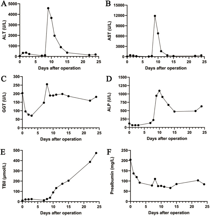 Figure 2