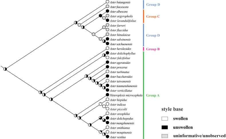 Figure 12