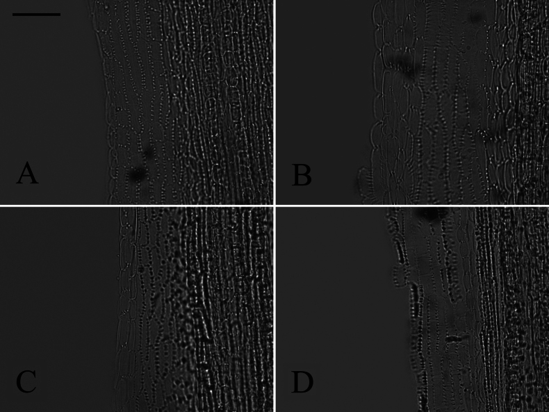 Figure 15