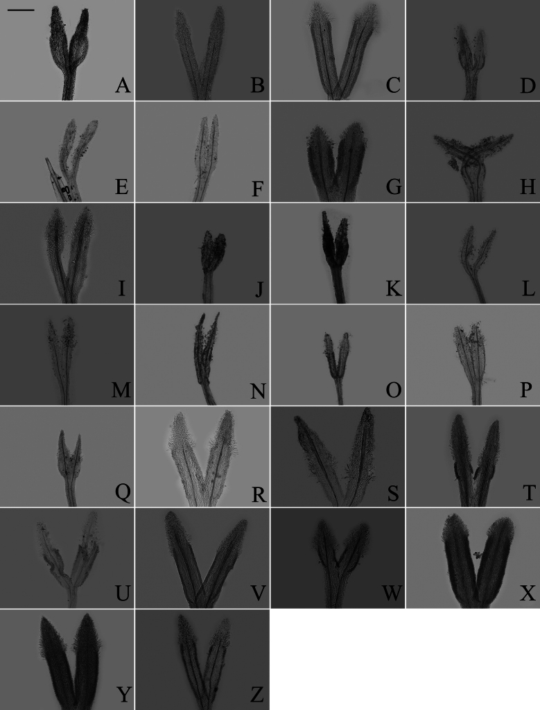 Figure 18