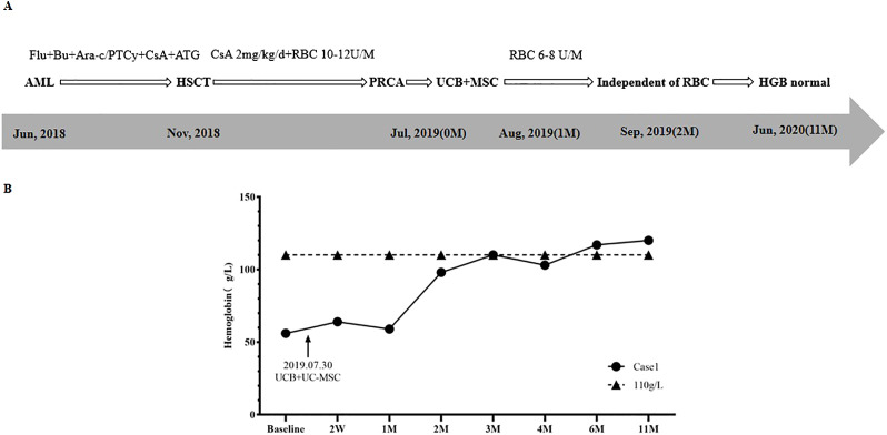 Figure 1