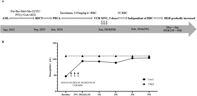 Figure 2