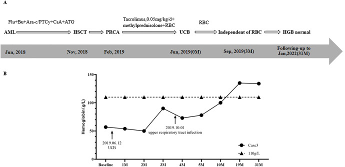 Figure 3