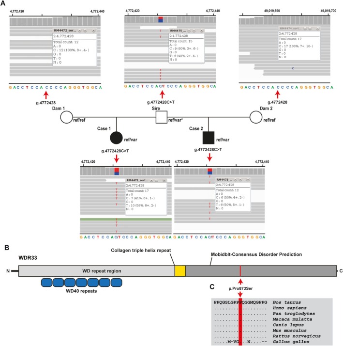FIGURE 4