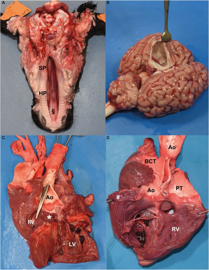 FIGURE 3