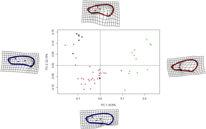 FIGURE 3