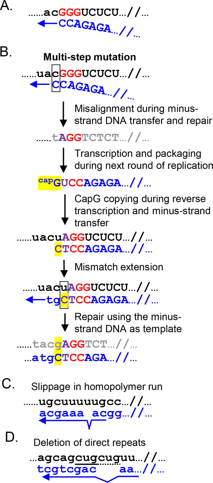 Fig 7