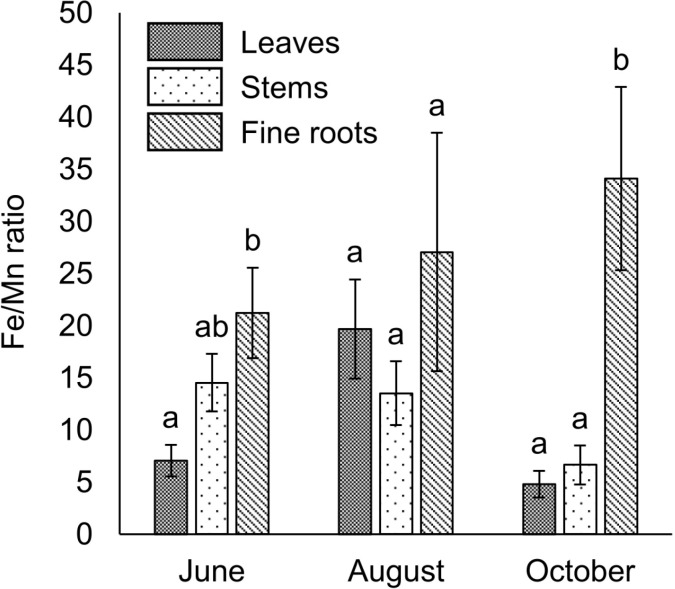 Figure 7