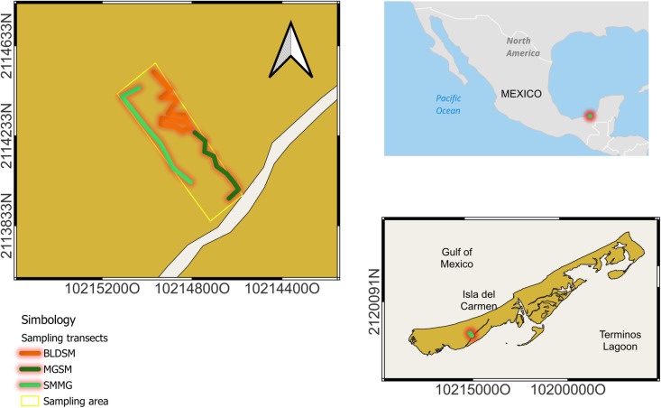 Figure 5