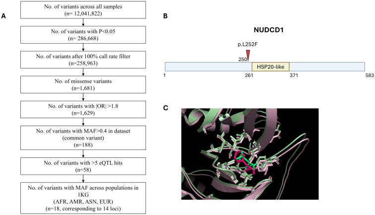 Figure 1