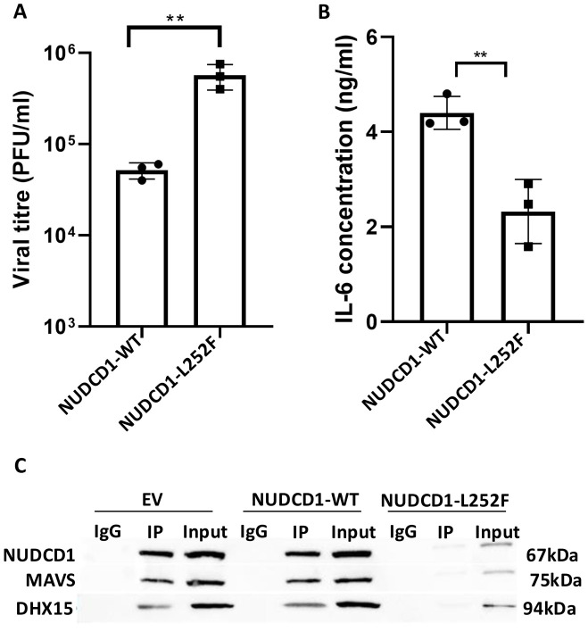 Figure 3