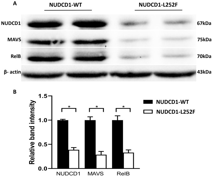 Figure 4