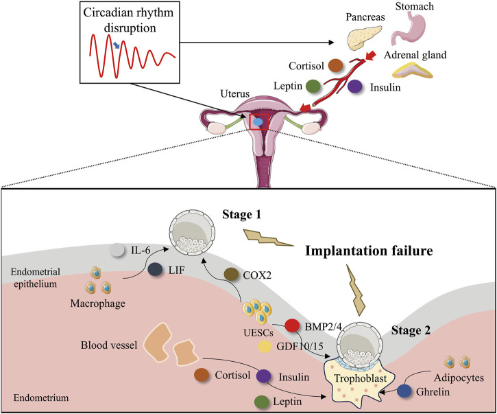FIGURE 3