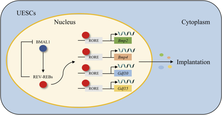 FIGURE 4