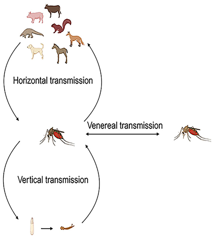 Figure 5
