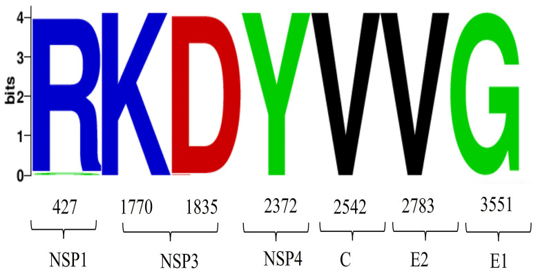 Figure 7