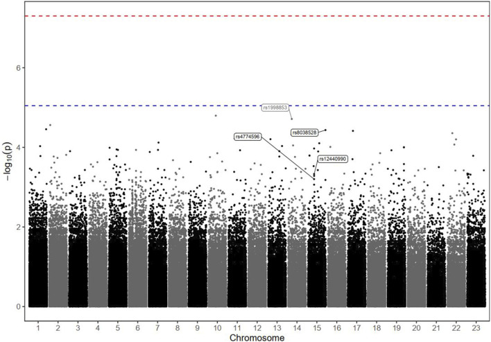 FIGURE 2
