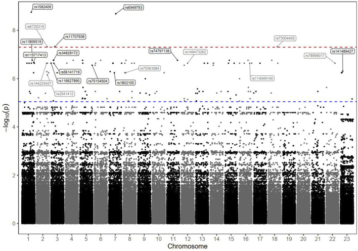 FIGURE 3