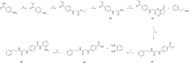 Scheme 2