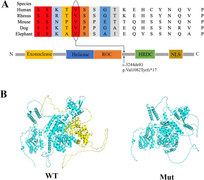 FIGURE 3