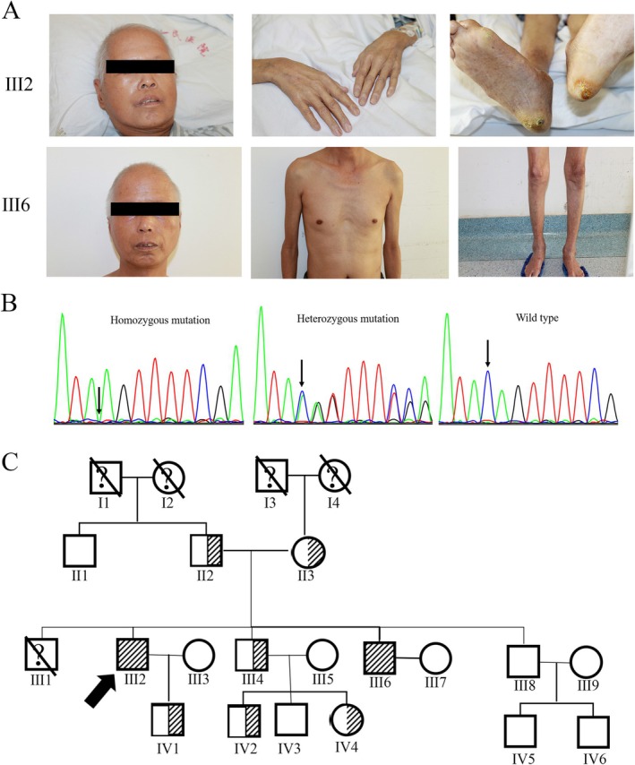 FIGURE 1