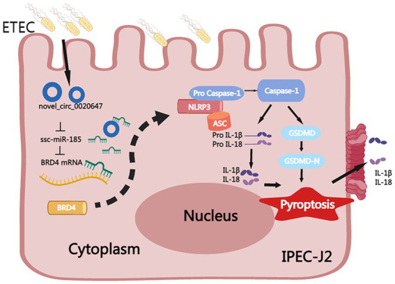 Figure 10