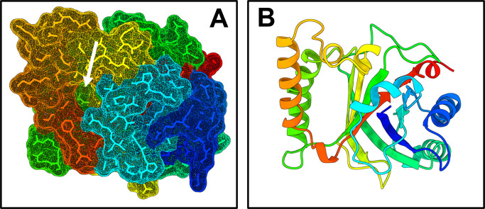 Fig 3