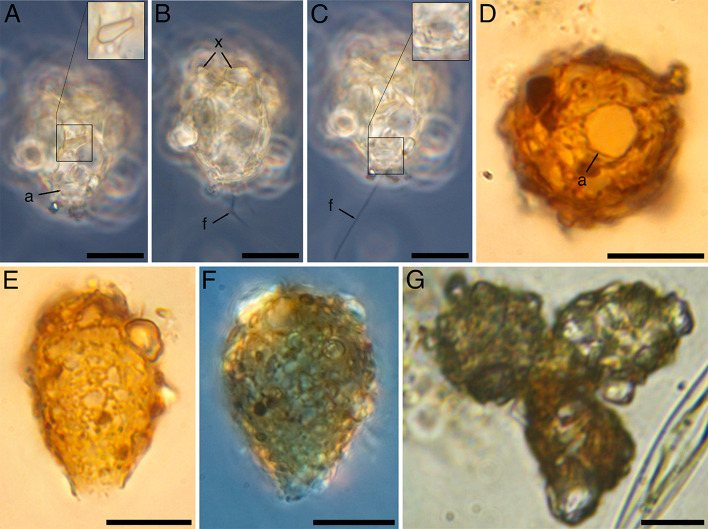 Fig 3