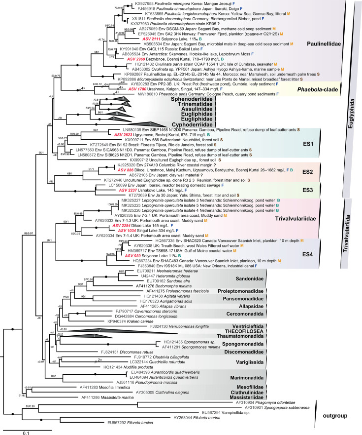 Fig 6
